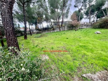 Foto de Terreno en Las Matas