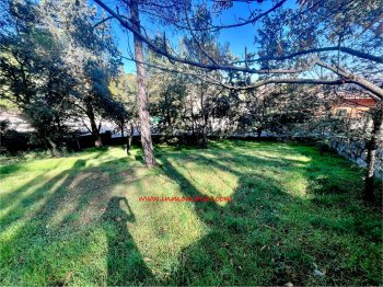 Foto de Terreno en Las Matas